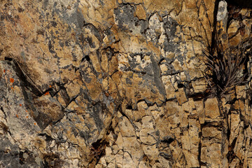 Close up of a cliff wall in Queensland, Australia