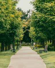 path in the park