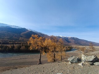 Altai Mountains. Snowy mountains in autumn. Autumn mountains.