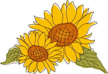 Abstract Line Sunflower