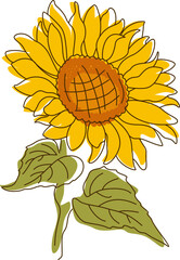 Abstract Line Sunflower