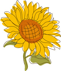 Abstract Line Sunflower