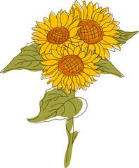 Abstract Line Sunflower