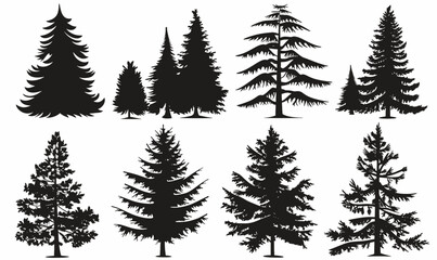 Pine Tree Silhouettes 
