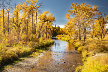 Fall in Fish Creek Park Calgary Alberta Canada