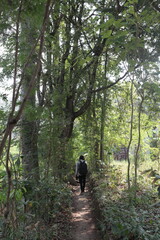 Fototapeta premium man walking in the forest