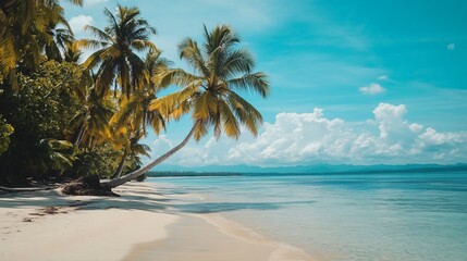 Palm tree on a white sandy beach with blue water and a clear sky.