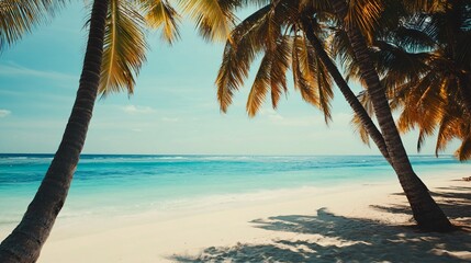 Naklejka premium Palm trees casting shadows on a pristine white sand beach with turquoise water in the background.