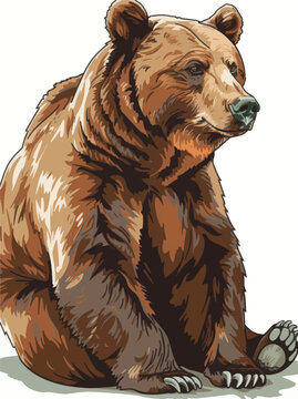 Brown Bear Sitting Isolated on White Background