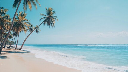 Obraz premium Palm trees on a sandy beach with clear blue water.
