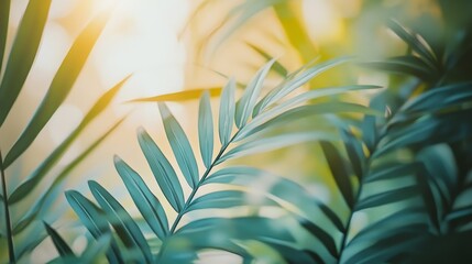 Lush Green Palm Fronds Basking in Soft Morning Sunlight in a Serene Tropical Setting