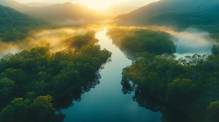 Obraz premium Aerial View of a River Flowing Through a Misty Forest at Sunrise