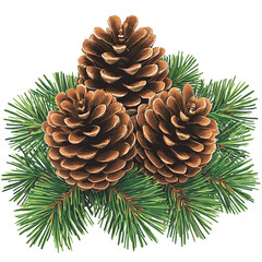 Fototapeta premium Beautiful Pine Cones Surrounded by Lush Green Pine Needles for Natural Holiday Decor