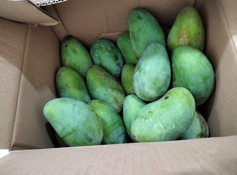 a box of manggo