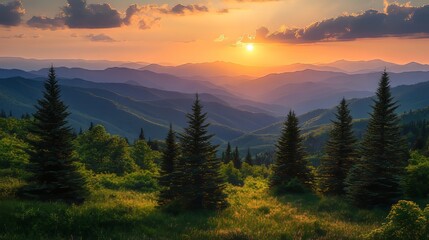 Fototapeta premium A ring of towering pines on a sunlit mountainside, framing an expansive valley below, the sky painted with hues of sunset, clouds drifting over the horizon