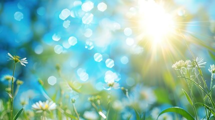 Simple Design on Sunny Background - a bright and cheerful visual. The simple yet appealing design stands out against the warm sunny backdrop.