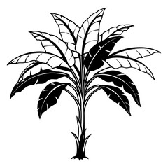 Banana Tree Silhouette Vector Icon. Vector Illustration
