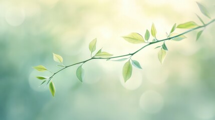 Obraz premium A delicate green plant branch with fresh leaves against a soft blurred background, creating a dreamy and tranquil nature scene.