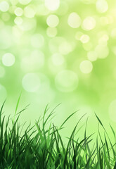 Fototapeta premium Panoramic natural landscape with green grass field and blue sky with clouds