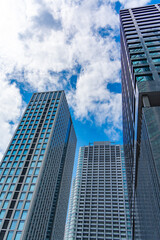 Obraz premium 汐留の高層ビル群