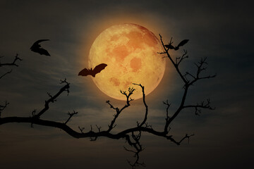 Spooky halloween background with silhouette dead tree and flying bat at night full moon