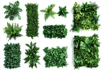 Collection of green garden walls created from vibrant tropical plants set against a white background perfect for enhancing indoor spaces and promoting eco-friendly design isolated on white background