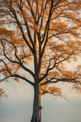 A Majestic Tree Bathed in Golden Autumn Light.