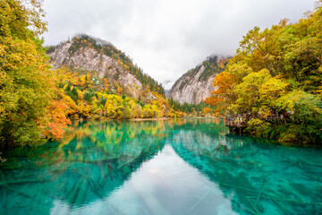 Beautiful autumn scenic view at five flower lake in jiuzhaigou national park
