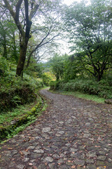 Fototapeta premium 石畳の道