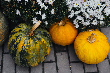 Colorful pumpkins and vibrant flowers on a cobblestone path during autumn festivities