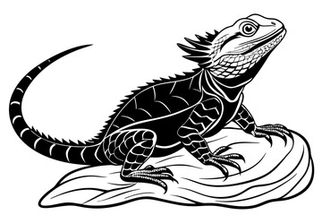  beautiful water dragon vector art illustration