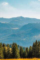 Romania Transalpina road with many serpentines crossing forest in  Carpathian mountains. Mountains forest trees with road in Parang mountains