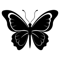 Butterflies black silhouette isolated on a white background. Flying butterflies icon set.