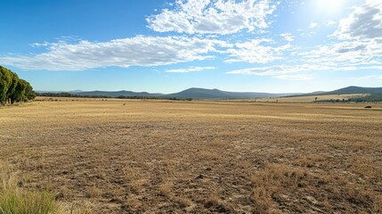 Obraz premium A barren field with no vegetation, cracked soil and dry conditions due to prolonged drought.