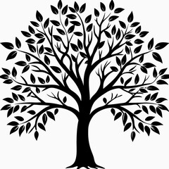 Obraz premium pecan-tree-silhouette