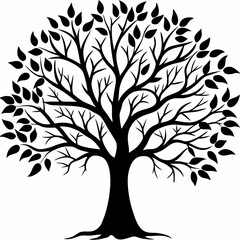 Obraz premium pecan-tree-silhouette