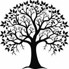 Obraz premium paulownia-tree-silhouette