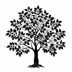 Obraz premium pignut-hickory-tree-silhouette