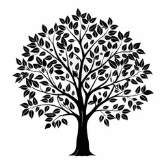 Fototapeta premium poplar-tree-silhouette