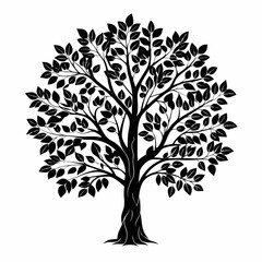 Obraz premium poplar-tree-silhouette