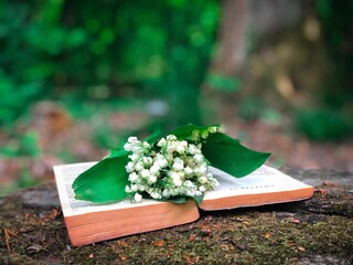 wedding bouquet on the table