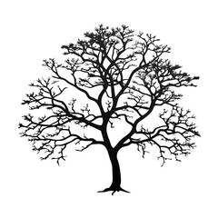 black-locust--tree-silhouette