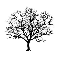 Obraz premium blackthorn--tree-silhouette 