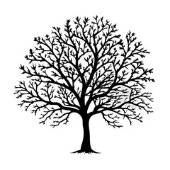 celtis--tree-silhouette