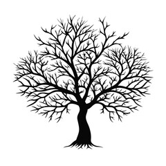 Fototapeta premium chaste-tree-silhouette