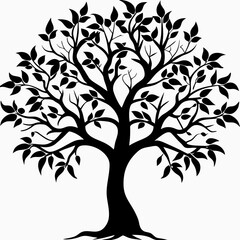 Obraz premium chaya-tree-silhouette