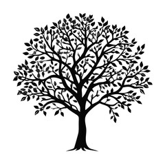 Fototapeta premium custard-apple-tree-silhouette