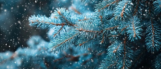 Enchanting winter wonderland: snowfall in a serene forest with blue spruce fir tree branches, perfect for christmas and new year celebrations - banner image