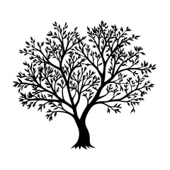 Obraz premium olive-tree-silhouette