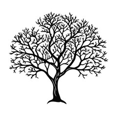 Obraz premium orange-tree-silhouette